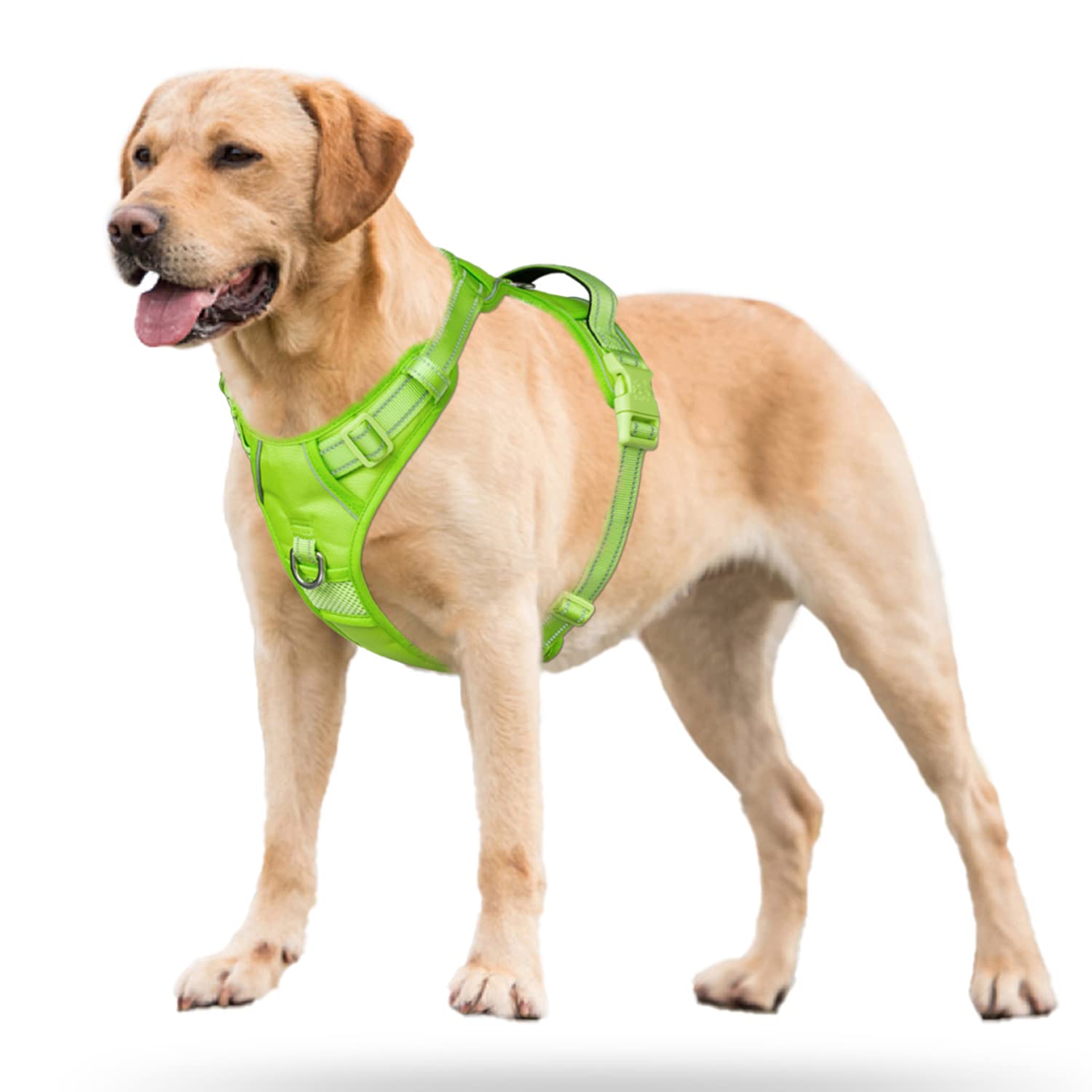 Poypet No Pull Dog Harness, No Choke Reflective Dog Vest, Adjustable Pet Harnesses With 2 Leash Attachments With Easy Control Padded Handle For Small Medium Large Dogs(Green Matching Trim,M)