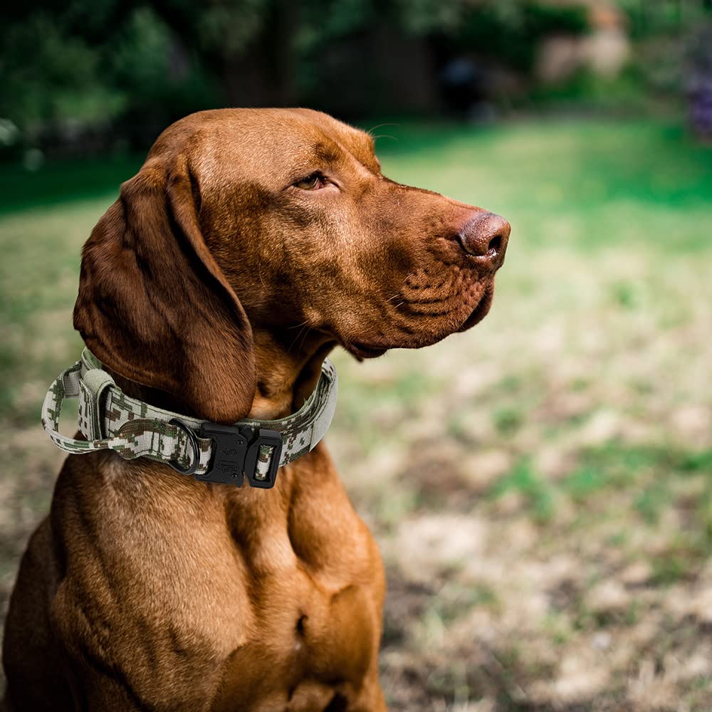 Alainzeo Tactical Dog Collar For Medium And Large Dogs, Military Training Adjustable Nylon Dog Collar With Control Handle And Qu