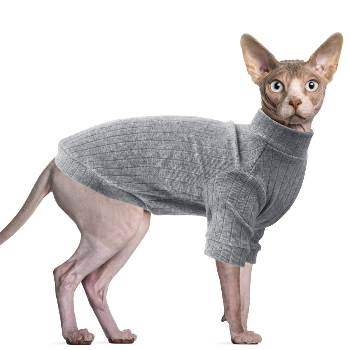 Idepet Sphynx Hairless Cats Sweater Shirt Kitten Soft Puppy Clothes Pullover Cute Cat Pajamas Jumpsuit Cotton Apparel Pet Winter Turtleneck For Cats And Teacup Chihuahua Small Dogs(Gray,M)