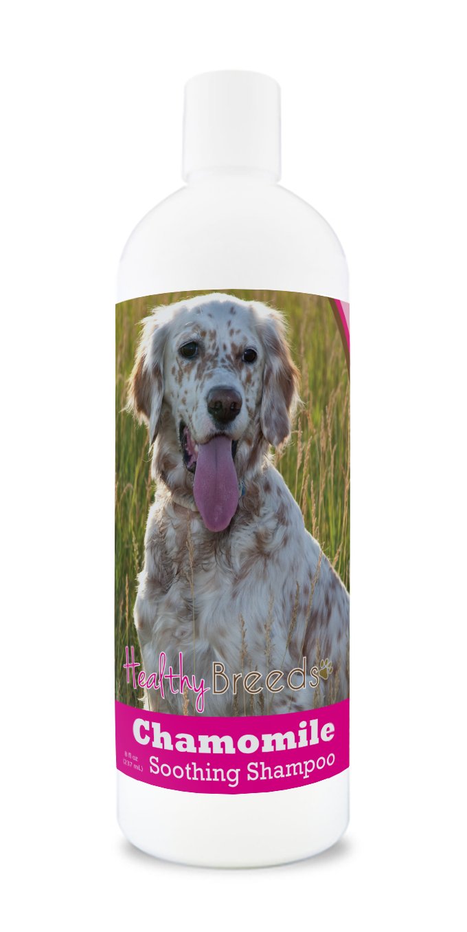 Healthy Breeds English Setter Chamomile Soothing Dog Shampoo 8 oz
