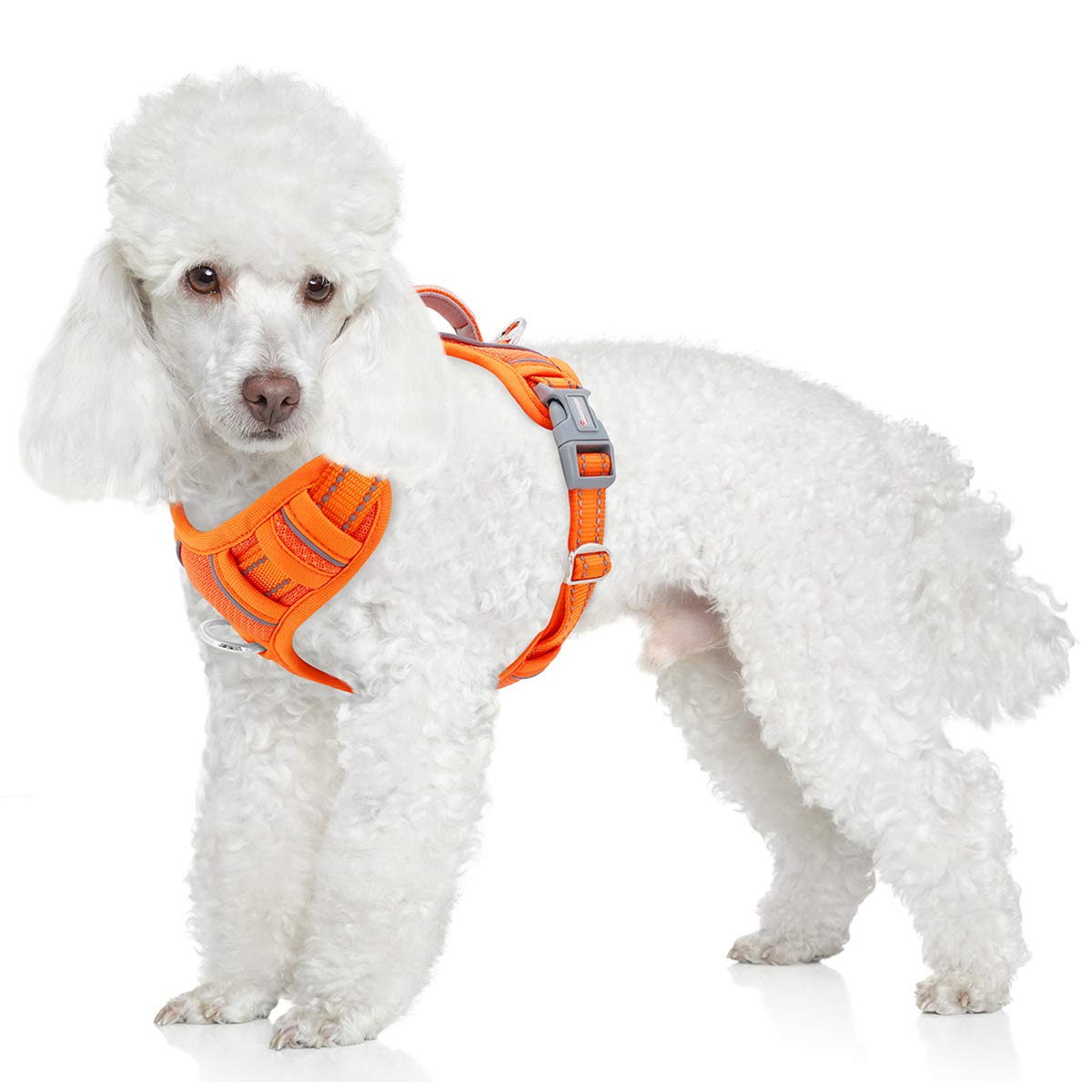 Barkbay No Pull Dog Harness Front Clip Heavy Duty Reflective Easy Control Handle For Large Dog Walking With Id Tag Pocket(Orange,S)