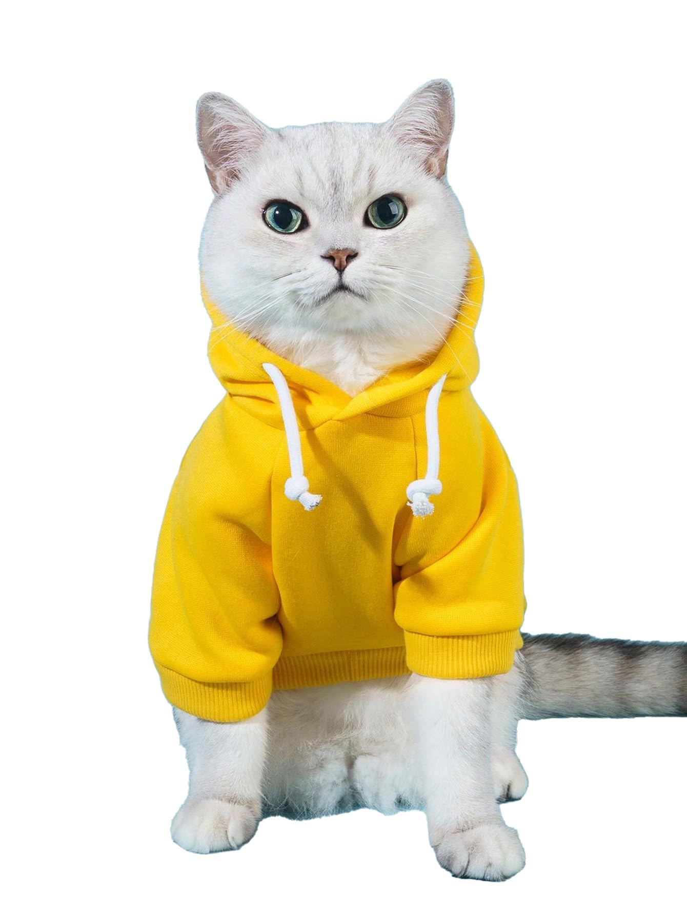 Qwinee Basic Dog Hoodie, Dog Warm Jacket, Cat Apparel, Dog Shirt, Dog Clothes For Puppy Kitten Small Medium Dogs Cats Yellow S