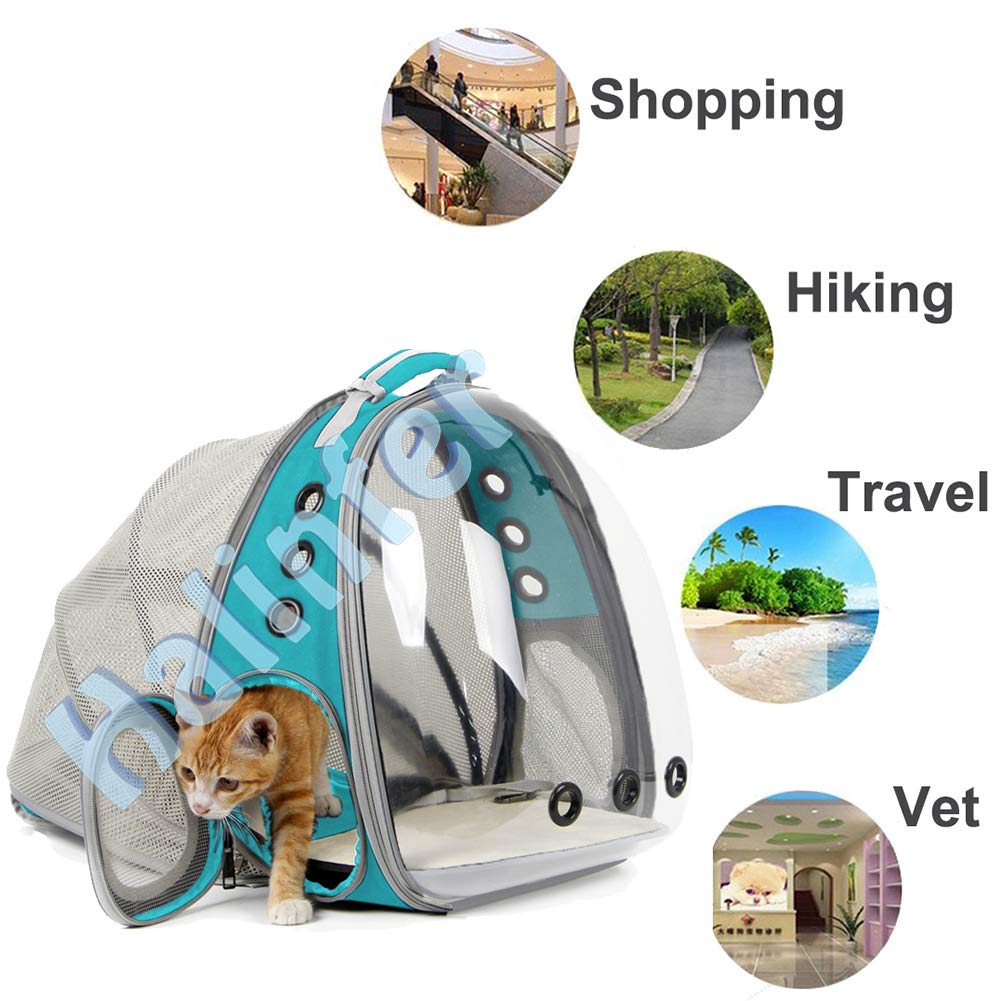 Cat Travel Backpack With Fan, Fit Up To 20 Lbs, Space Capsule Astronaut Clear Bubble Window Pet Backpack For Kitten And Small Pu