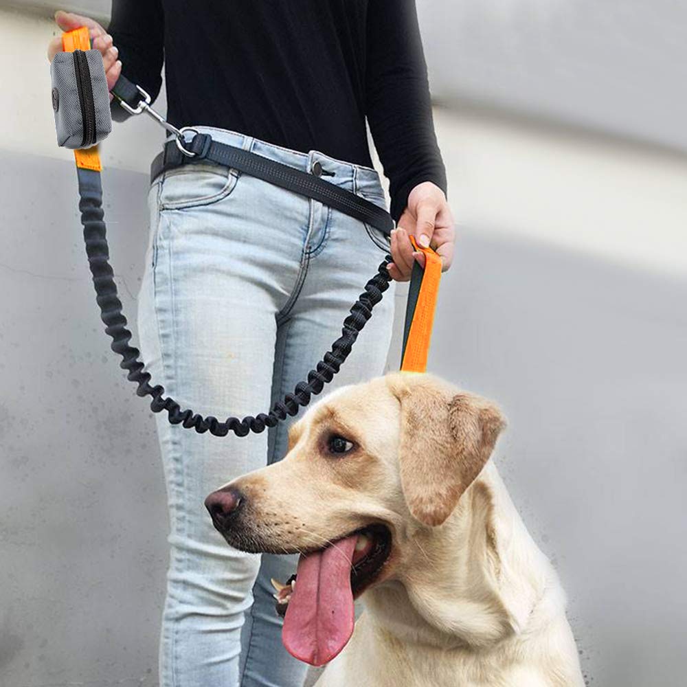 Slson Pet Waste Bag Dispenser Zippered Pouch,Portable Dog Poop Bag Holder Leash Attachment Lightweight Fabric Bags (Light Grey)