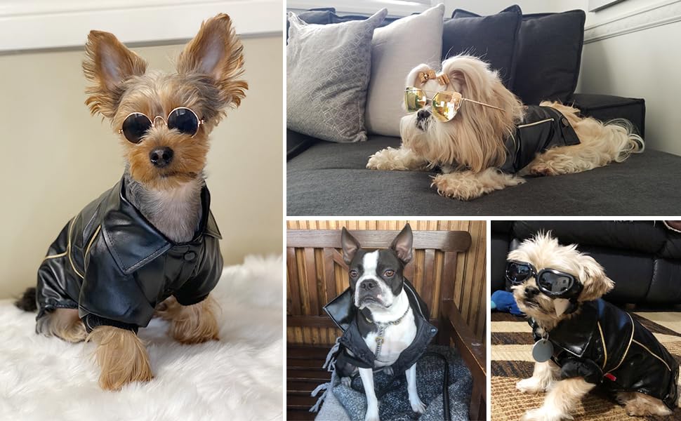 Niula Dog Winter Coat Pu Leather Motorcycle Jacket For Dog Pet Clothes Leather Jacket, Waterproof(3Xl)