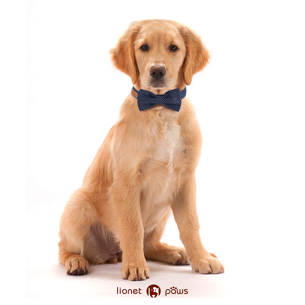 Lionet Paws Boy Dog Collar With Bowtie, Comfortable Adjustable Cute Navy Blue Bow Tie Collar For Male Dogs Gift, Xlarge, Neck 16-26 Inches