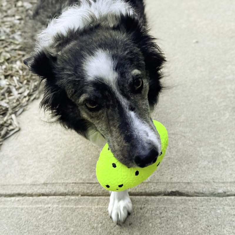 Kong Reflex Football Durable Flexible Bounce Material Dog Toy