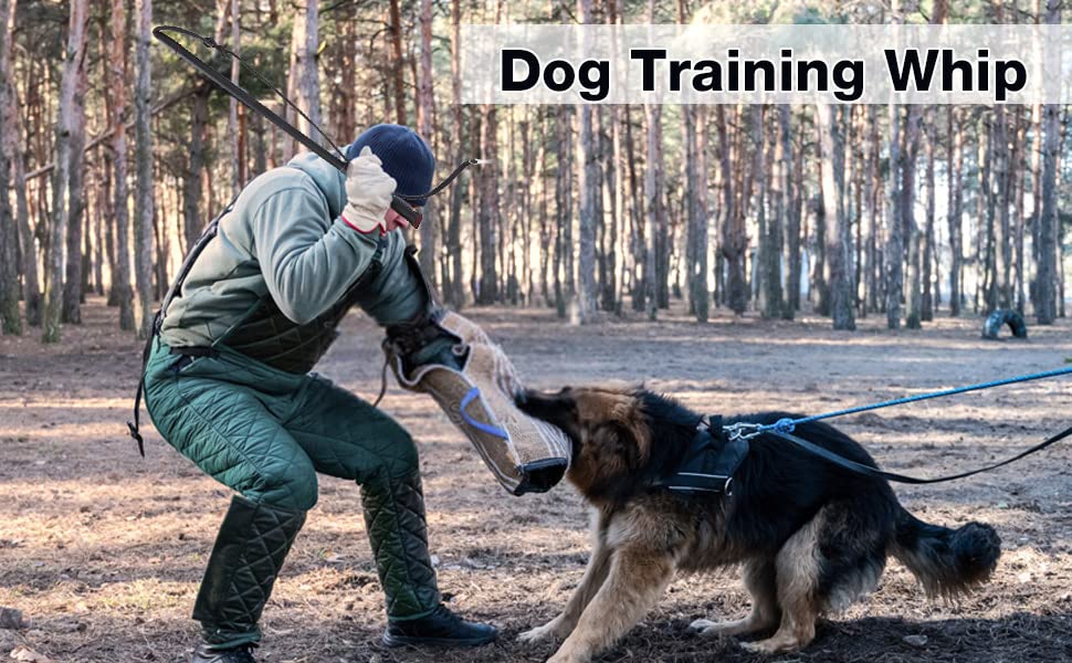 Pssopp Cowhide Dog Agitation Whip Dog Teaser Wand Dog Training Whip Dog Teaser Wand Outdoor Playing For Pulling, Chasing, Chewing, Teasing, Training