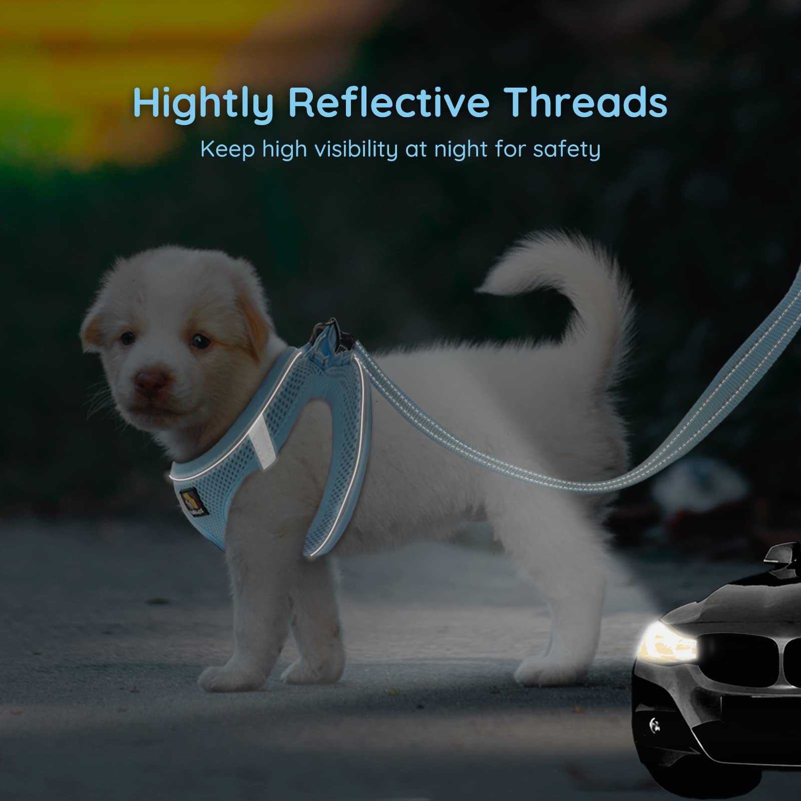 Bella & Pal Puppy Harness With Leash Set, Dog Harness For Small Dogs No Pull, Dog Leash For Small Dogs, Step In Harness For Extra Small Dogs, Blue Harness, L