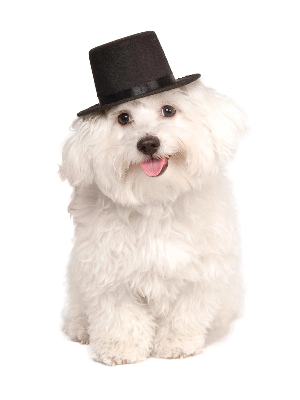 Rubie'S Top Hat For Your Pet, Medium/Large Multicolor