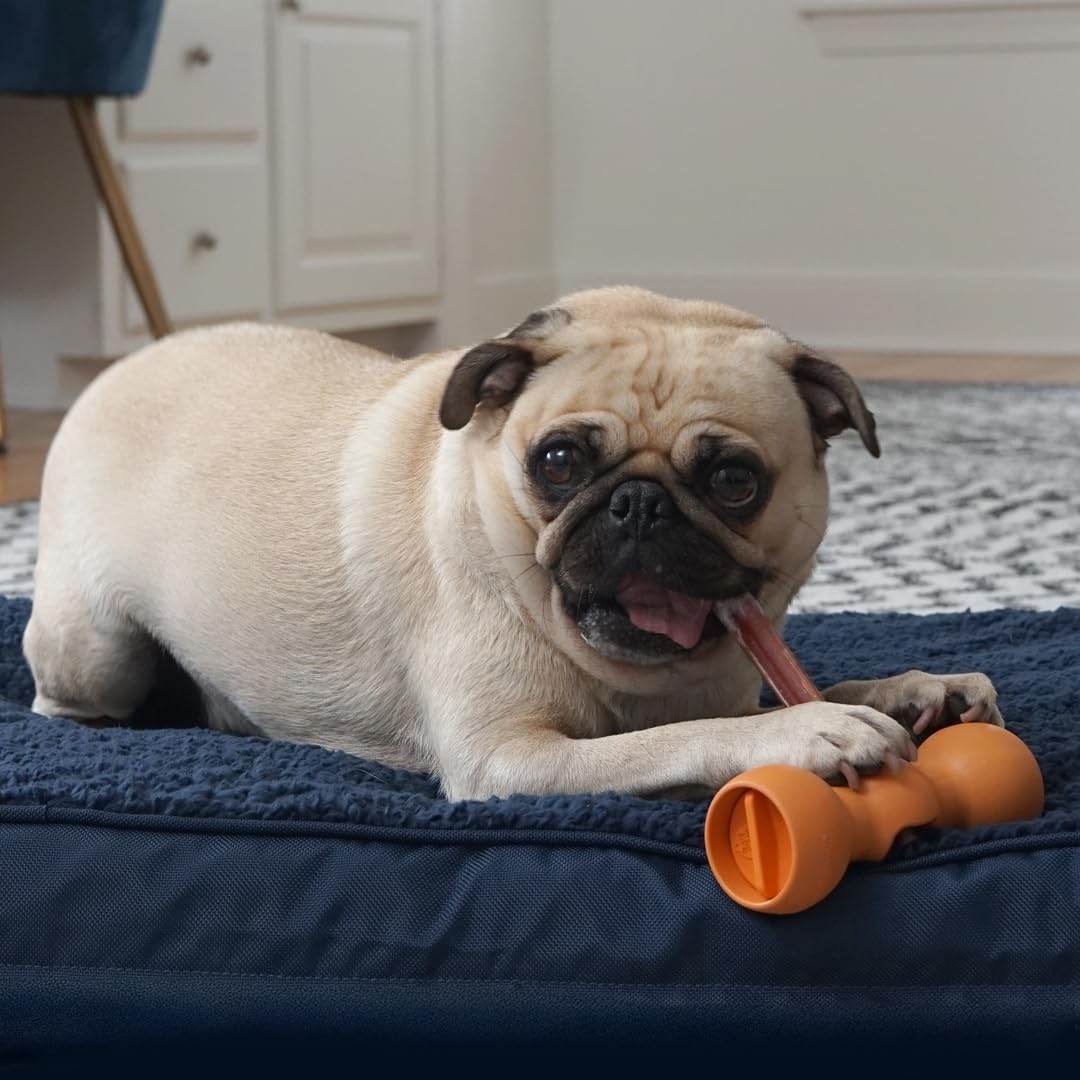 Bow Wow Labs New Bow Wow Buddy Starter Kit - Bully Sticks & Anti-Choking Bully Stick Holder Safety Device for Dogs (S)