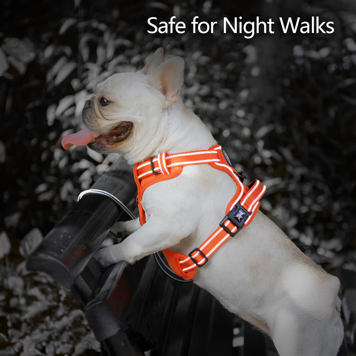 Poypet No Pull Dog Harness, No Choke Reflective Dog Vest, Adjustable Pet Harnesses With Easy Control Padded Handle For Small Medium Large Dogs(Orange Matching Trim,S)