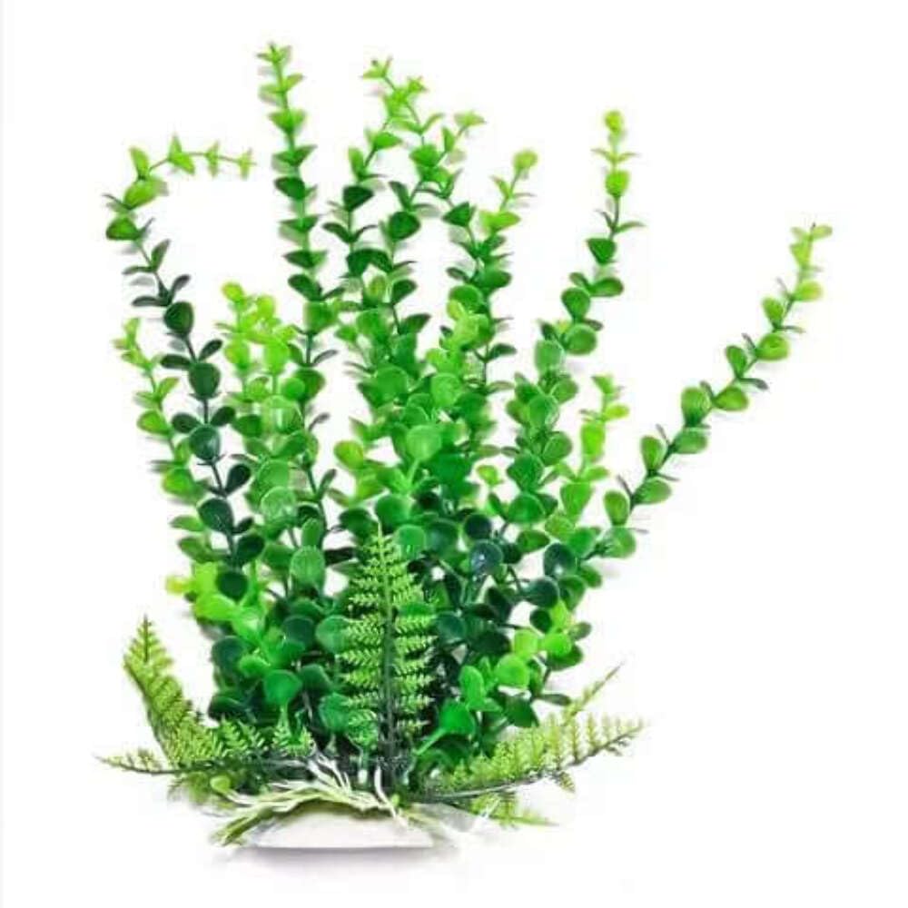 Aquatop 38201448: Plant, Bacopa Blue/White 6In