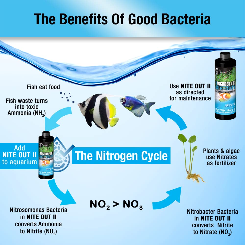 MICROBE-LIFT NITEHG1 Nite-Out II Aquarium and Fish Tank Cleaner for Rapid Ammonia and Nitrite Reduction, Freshwater and Saltwate
