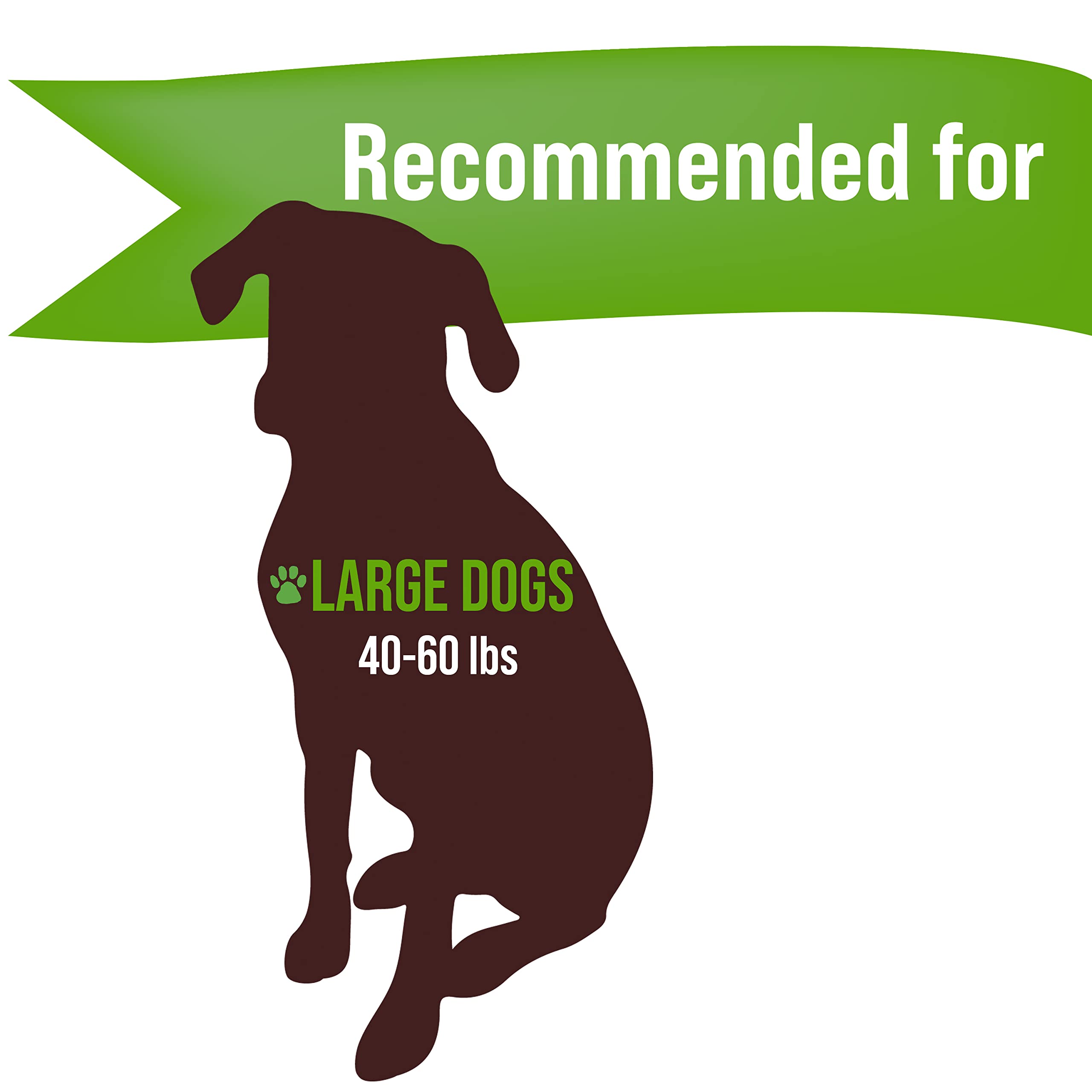 Buck Bone Organics Dog Chews, Elk Antlers for Dogs, Long Lasting Dog Bones for Aggressive Chewers, All Natural, No Preservatives