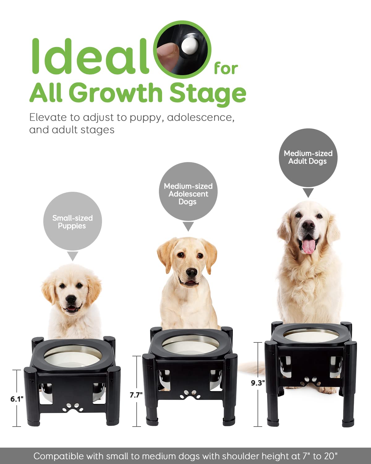Pawque Elevated Dog Water Bowl - 80Oz Adjustable Height (6.1"-9.3") - Non-Slip Stainless Steel - Black for Medium & Small Dogs