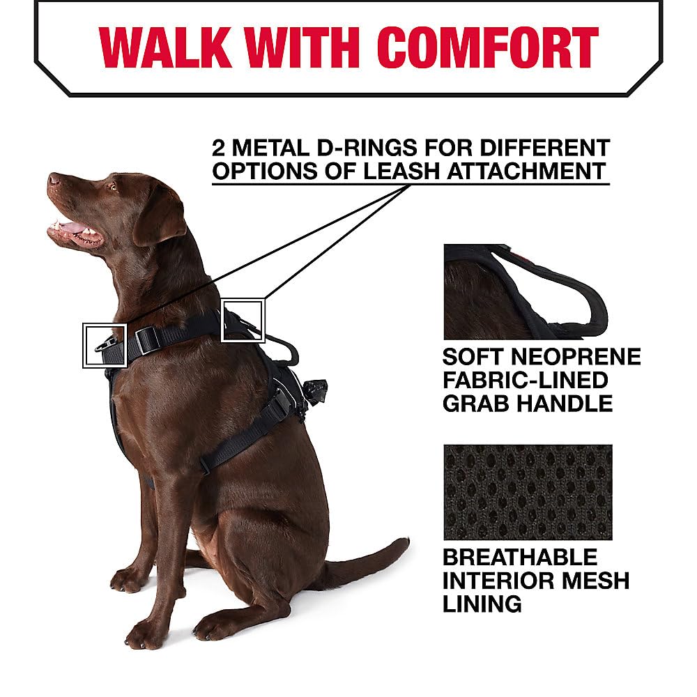 Kong Ultra Durable Waste Bag Harness (Medium, Black)