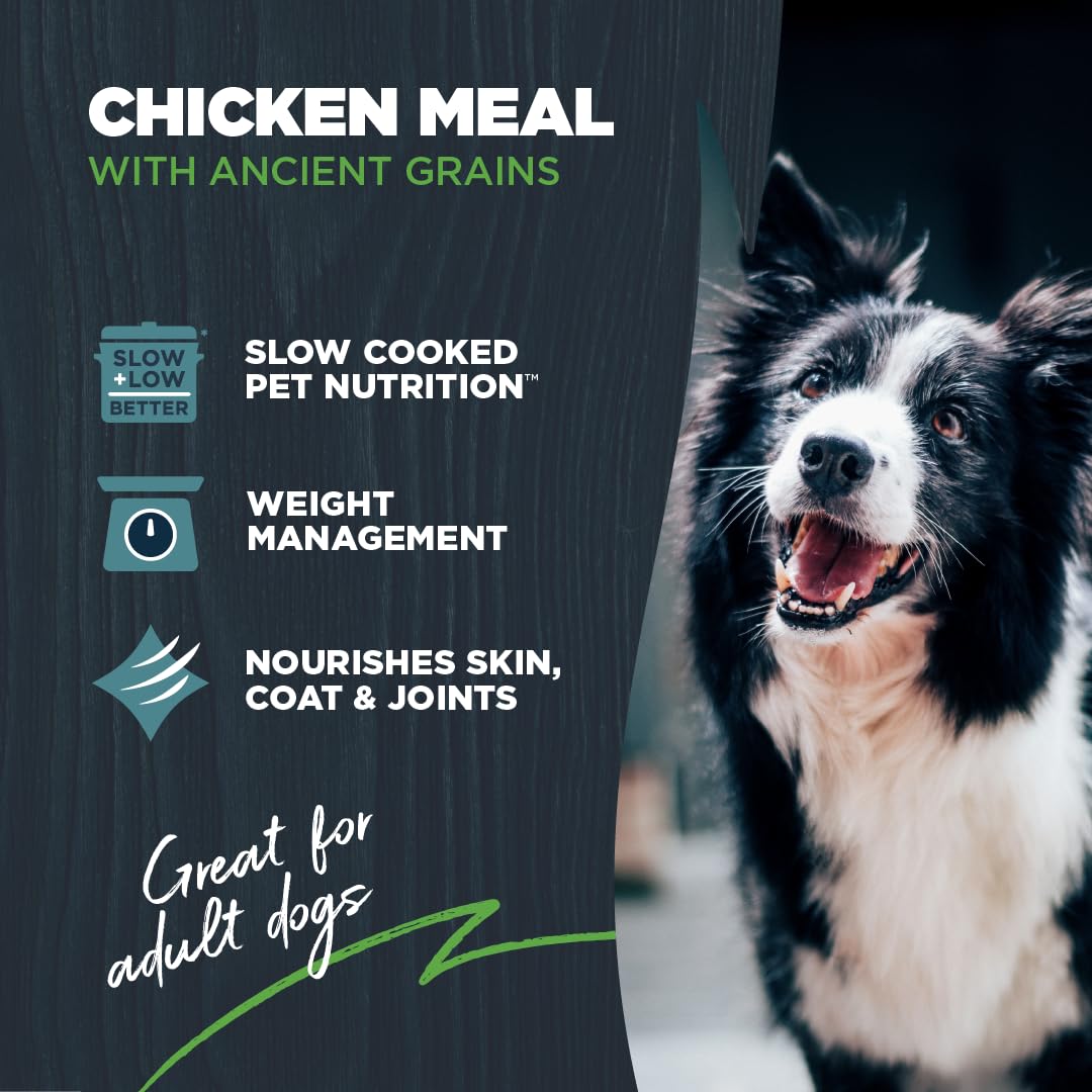 Blackwood Lean/Senior Dry Dog Food, Chicken Meal with Ancient Grains, 4.5 Pound Bag for Weight Management and Muscle Mass Mainte
