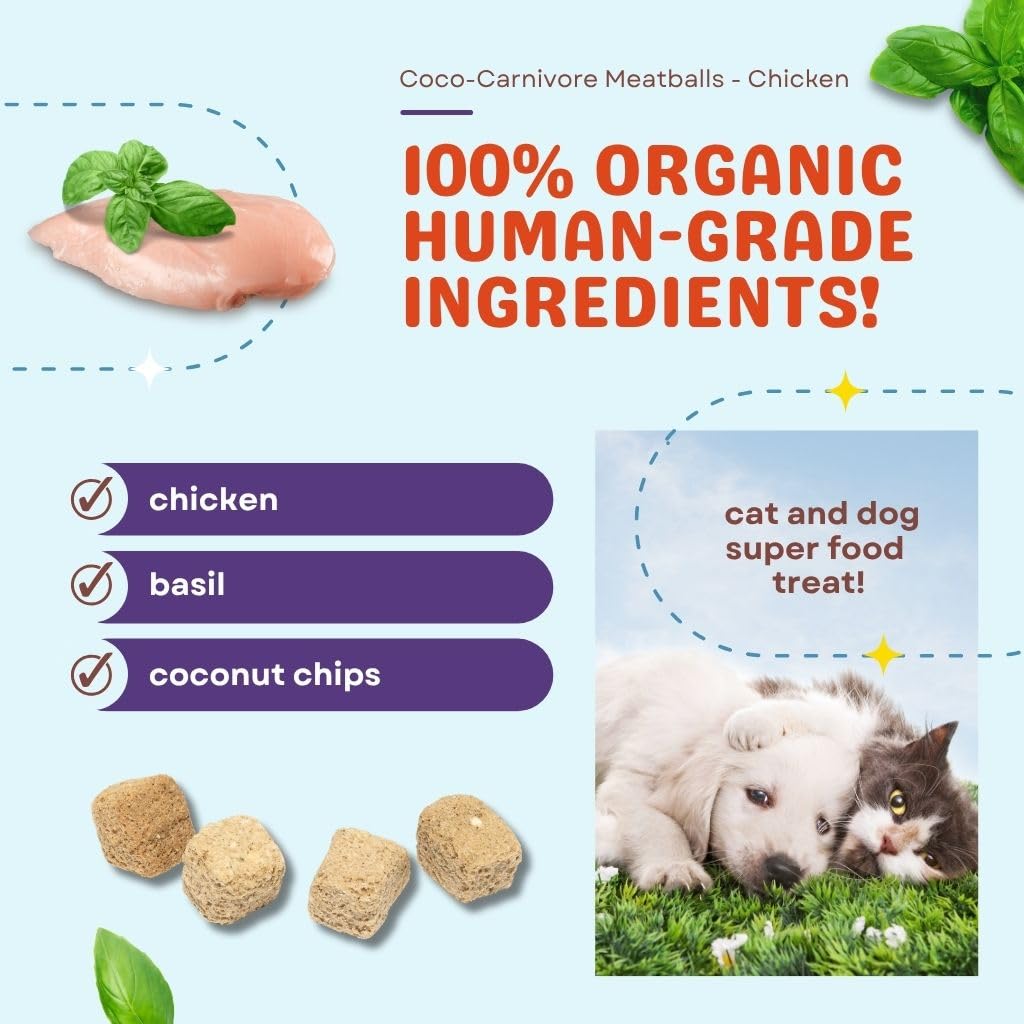 CocoTherapy 3 Pack of Coco-Canivore Meatballs Dog Treats, Beef, Chicken, Turkey (Variety)