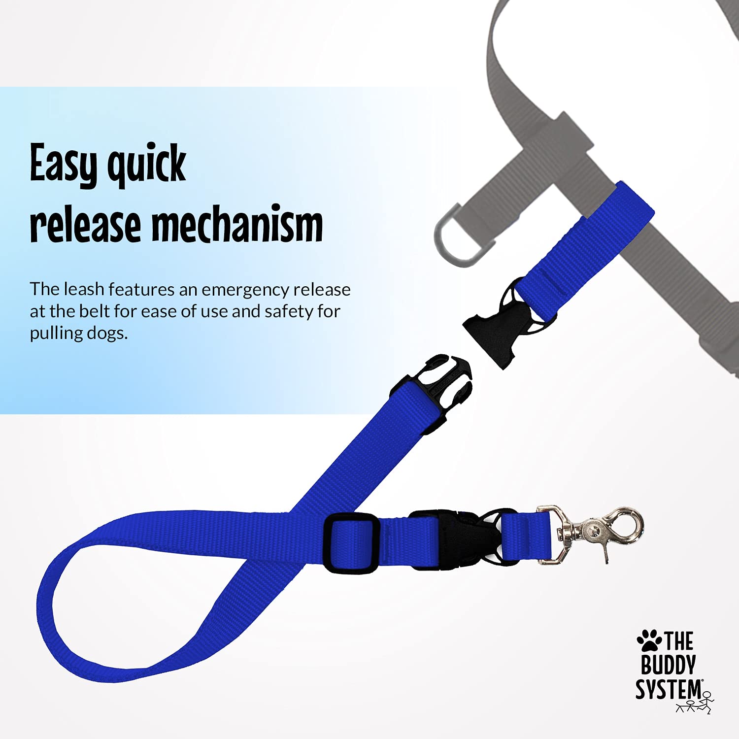 The Buddy System Hands Free Dog Leash, Adjustable Leash For Running, Jogging, Training And Service Dogs, Great For Small, Medium And Large Dogs, Made In Usa (Royal Blue, X-Large Belt (33'- 60' Waist))
