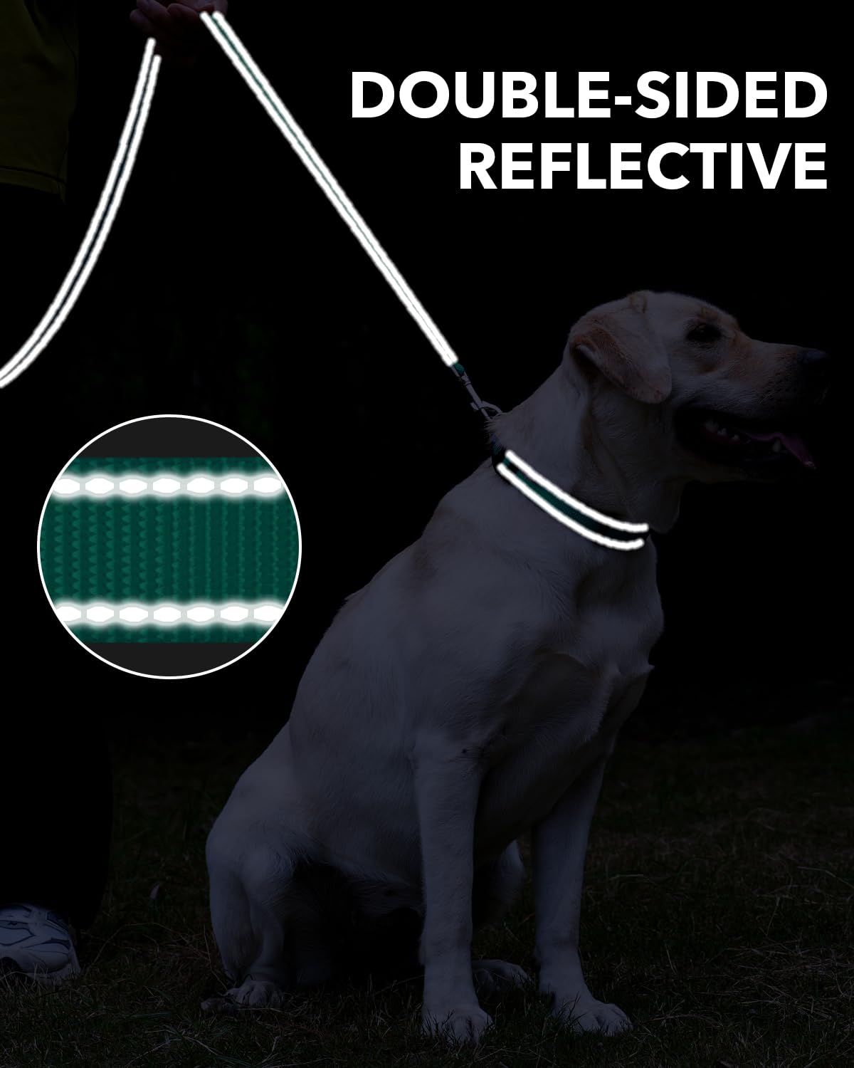 Taglory Dog Leash For Small Dogs, Double-Sided Reflective Leash With Soft Neoprene Padded Handle, 3/4 Inch By 6 Ft, Fit Small Me