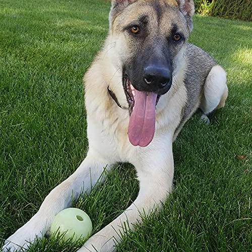 Chew King Glowing Fetch Balls for Medium Dogs, 2.5" Rubber, White, Pack of 2, Model CM-0261-CS01