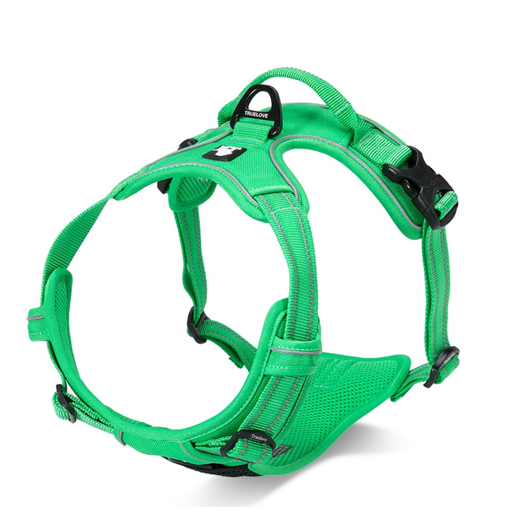 Sgoda Dog Harness, Green, Small