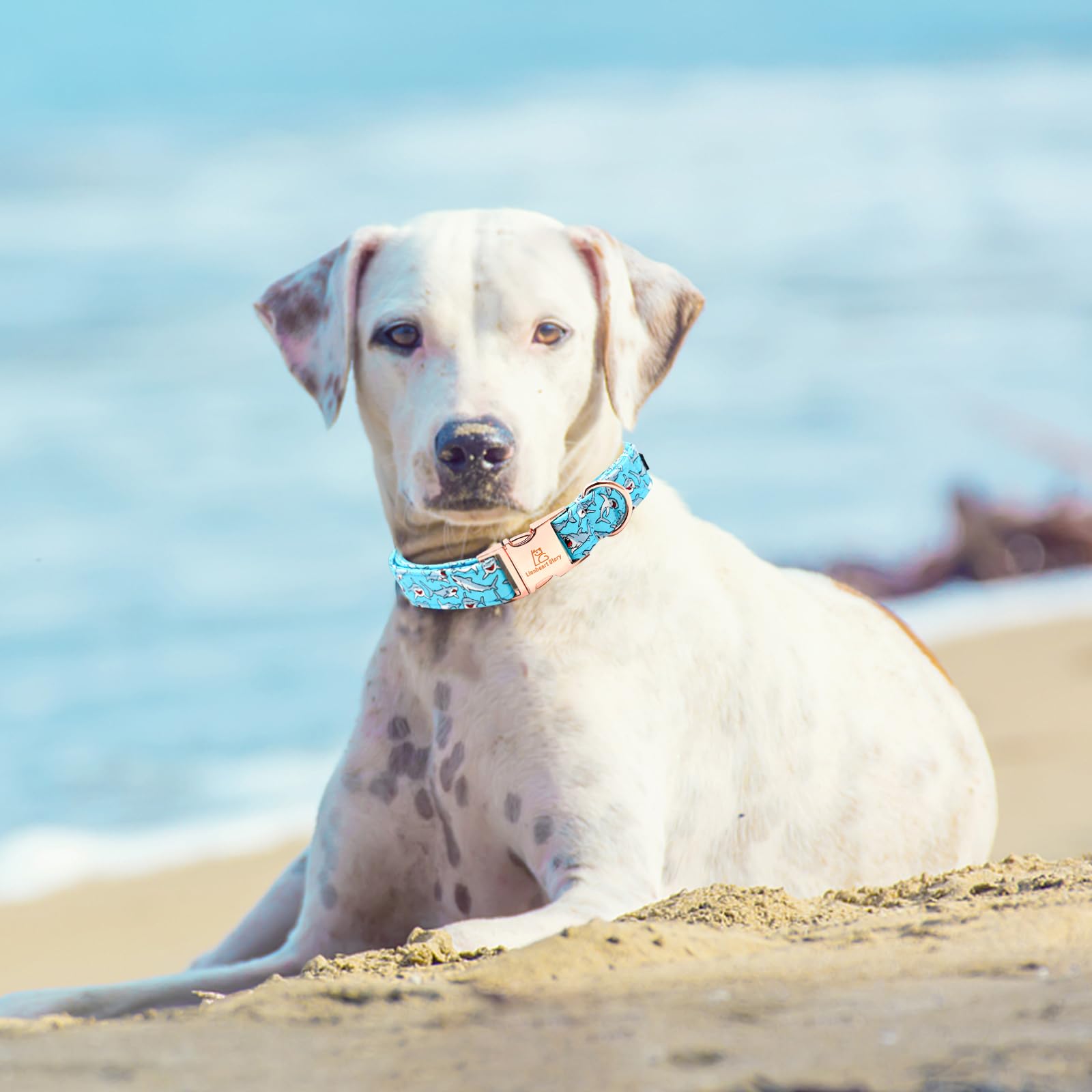 Lionheart Glory Blue Dog Collar Shark Print Dog Collar For Large Dogs Soft Durable Adjustable Dog Collars Boy Pet Gift