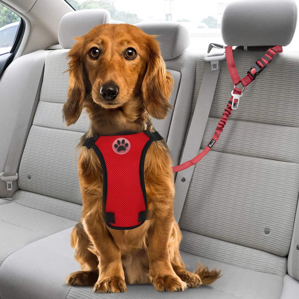 Slowton Dog Seat Belt Car, 2 Pack Dog Car Harness Seatbelt Adjustable With Elastic Bungee Buffer, 2 In 1 Pet Car Leash Headrest Restraint Safety Tether Reflective No Twist (Red-Dual Use)