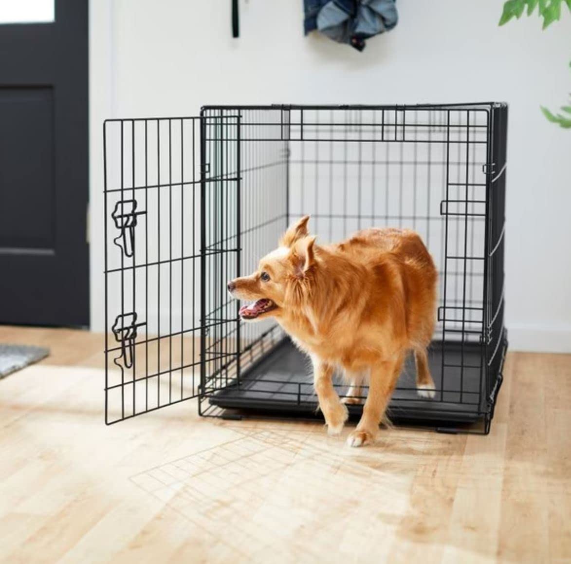 Shine Mount Dog Puppy Crate Large 36 Inch Black Metal Double Door Removable Abs Tray Folding Flat Cage Perfect Bed Training Pet Car Travel Easy Access Storage (Dog Crate Large 36 Inch/ Fast Delivery