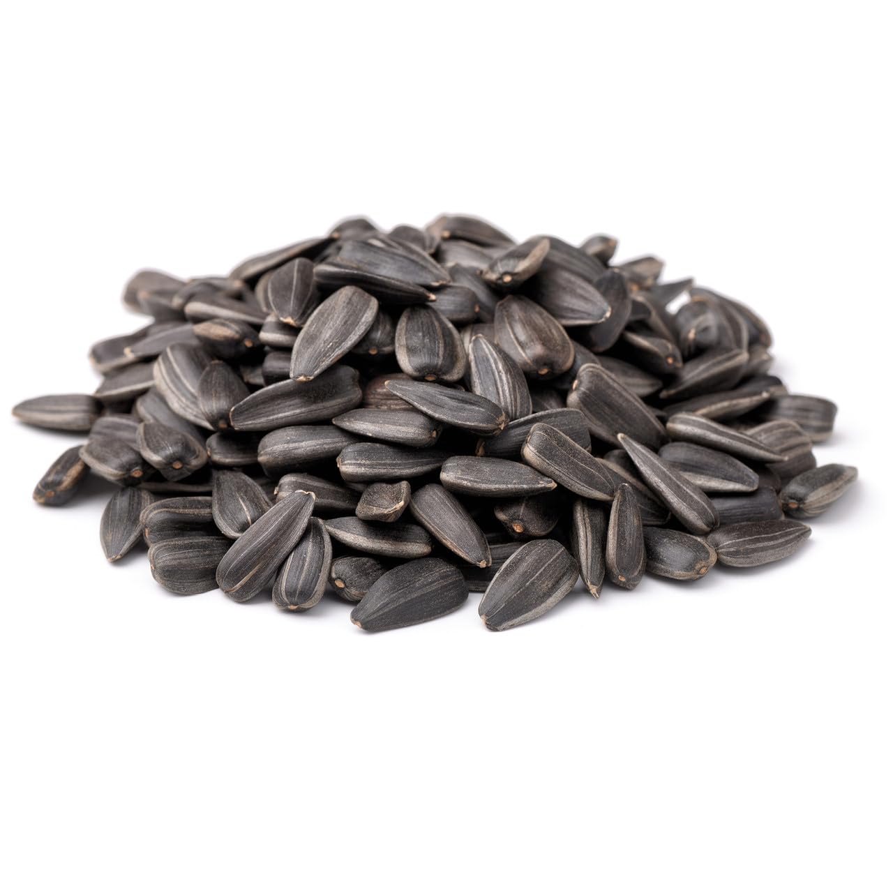 CountryMax Backyard Seeds Black Oil Sunflower (25 Pounds)