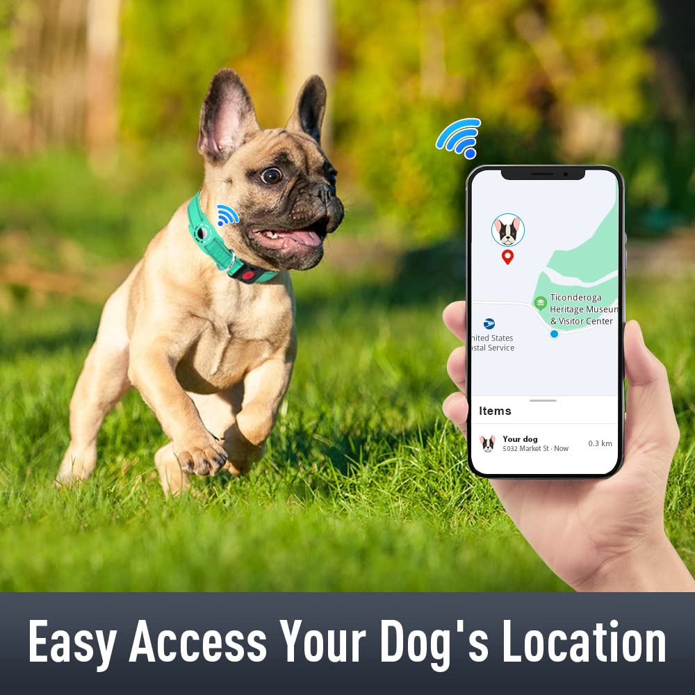 Erbine Airtag Dog Collar For Small Dogs, Reflective Dog Collars With Airtag Holder, Soft Padded & Safety Locking Buckle, Nylon Pet Collar Adjustable For All Breeds, Teal