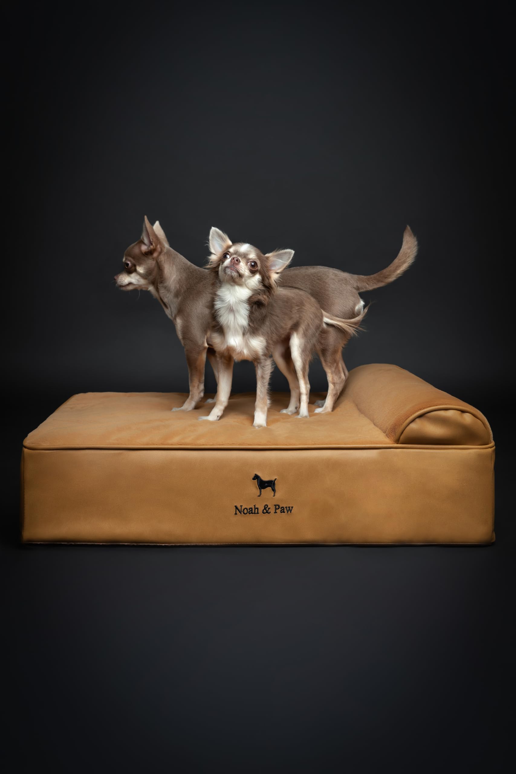 NOAH & PAW Dog Bed, 28x23x11 Inch, Orthopedic Dog Beds for Medium Size Pets, Eggshell Memory Foam Infused with Cooling Gel, Wate