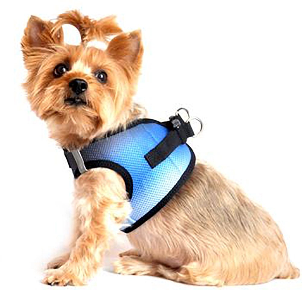 American River Dog Harness Ombre Collection - Midnight Sky XX Small
