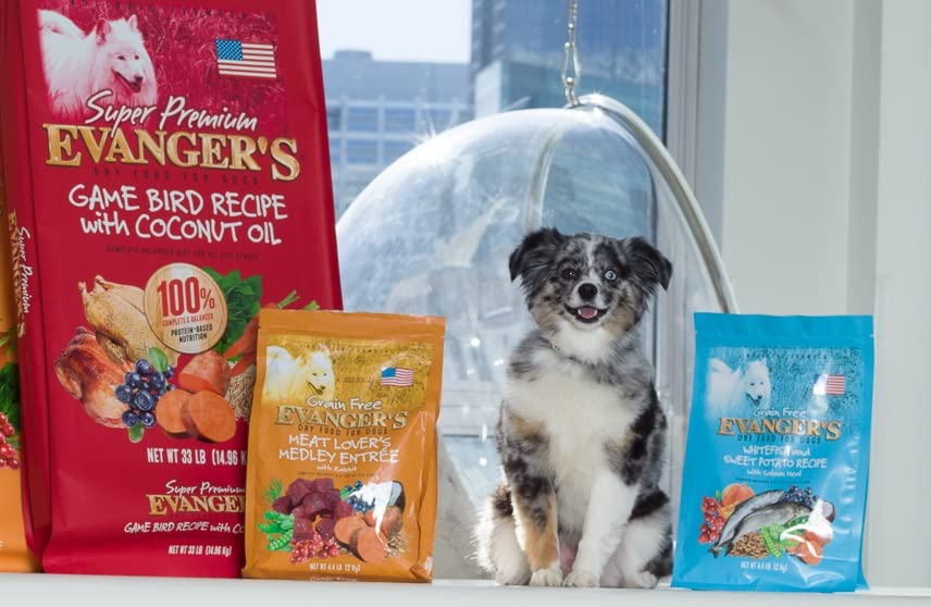 Evangers Super Gamebird Recipe with Coconut Oil Dry Dog Food - 4.4 lb Bag - Hypoallergenic Duck & Turkey Formula - Grain-Free,