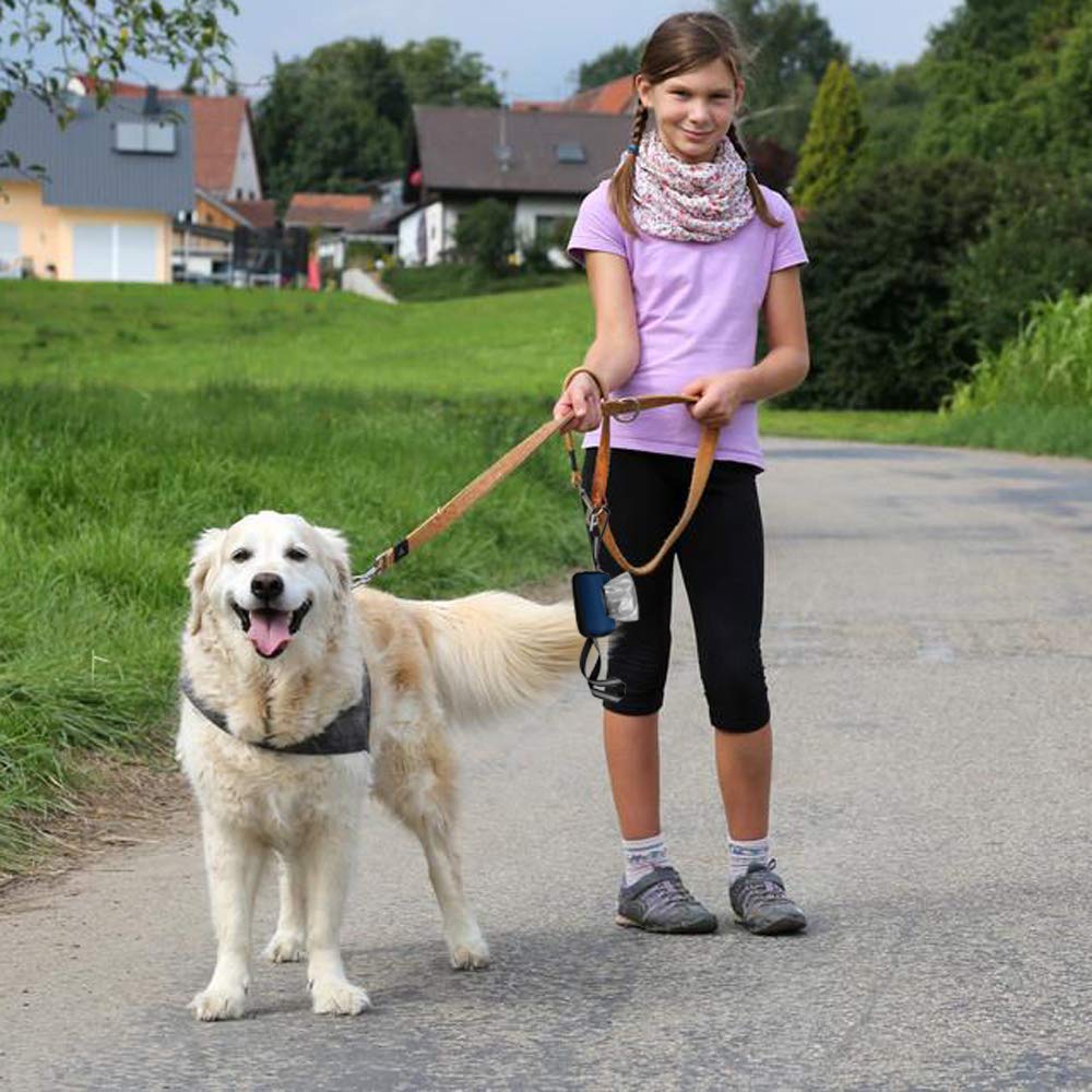 Qskely 1400 Count Dog Waste Bags, 9.06 X 13.78 In, Leak-Proof, 40 Rolls, Easy Tear-Off Design