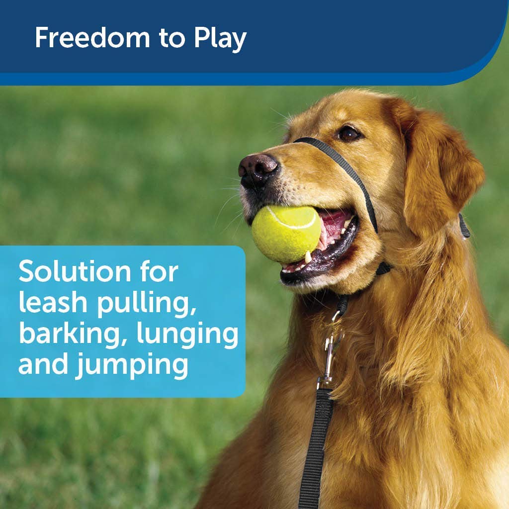 Lg Gentle Leader Collar (Pack Of 6)