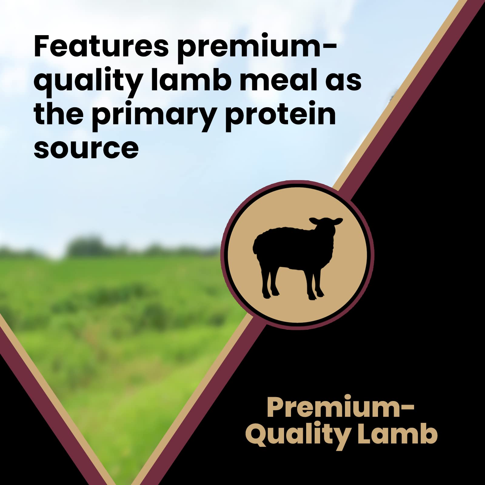 Victor Super Premium Dog Food - Grain Free Lamb Meal & Sweet Potato Recipe - Dry Dog Food for Dogs of All Life Stages - High Pro