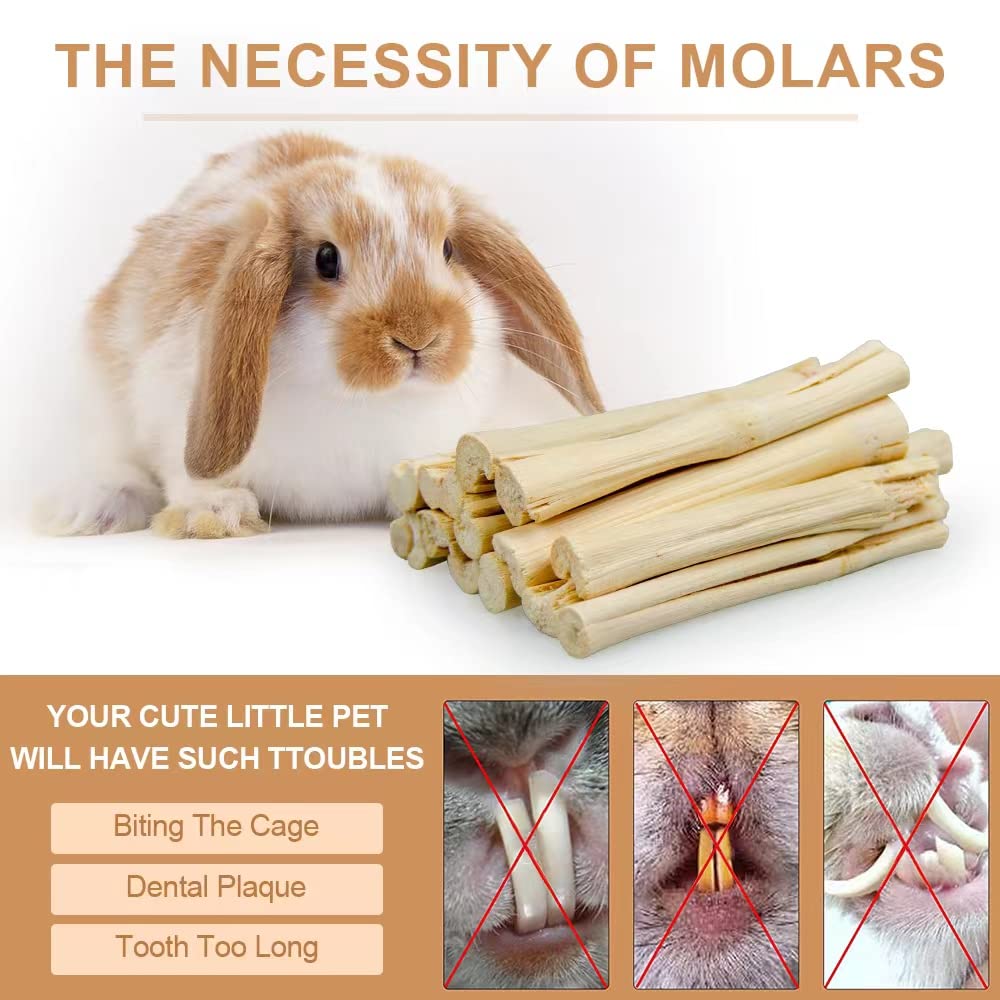 Dbeans Flourithing 300g Guinea Pig & Rabbit Chew Toys with Apple & Timothy Sticks - Prevent Overgrown Teeth with Sweet Bamboo Tr