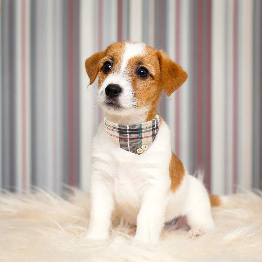 Expawlorer Dog Leash Set - Classic Plaid Dog Bow Tie And Dog Bandana Collar With Bell, Tangle Free, Adjustable Collars For Small