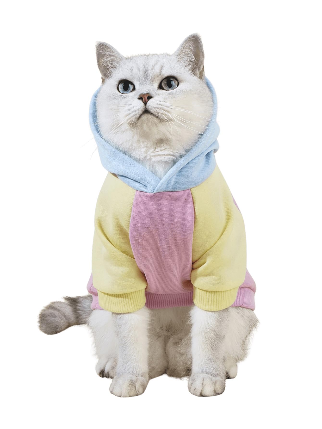 Qwinee Basic Dog Hoodie, Cat Apparel, Dog Shirt, Pink X-Small & Medium