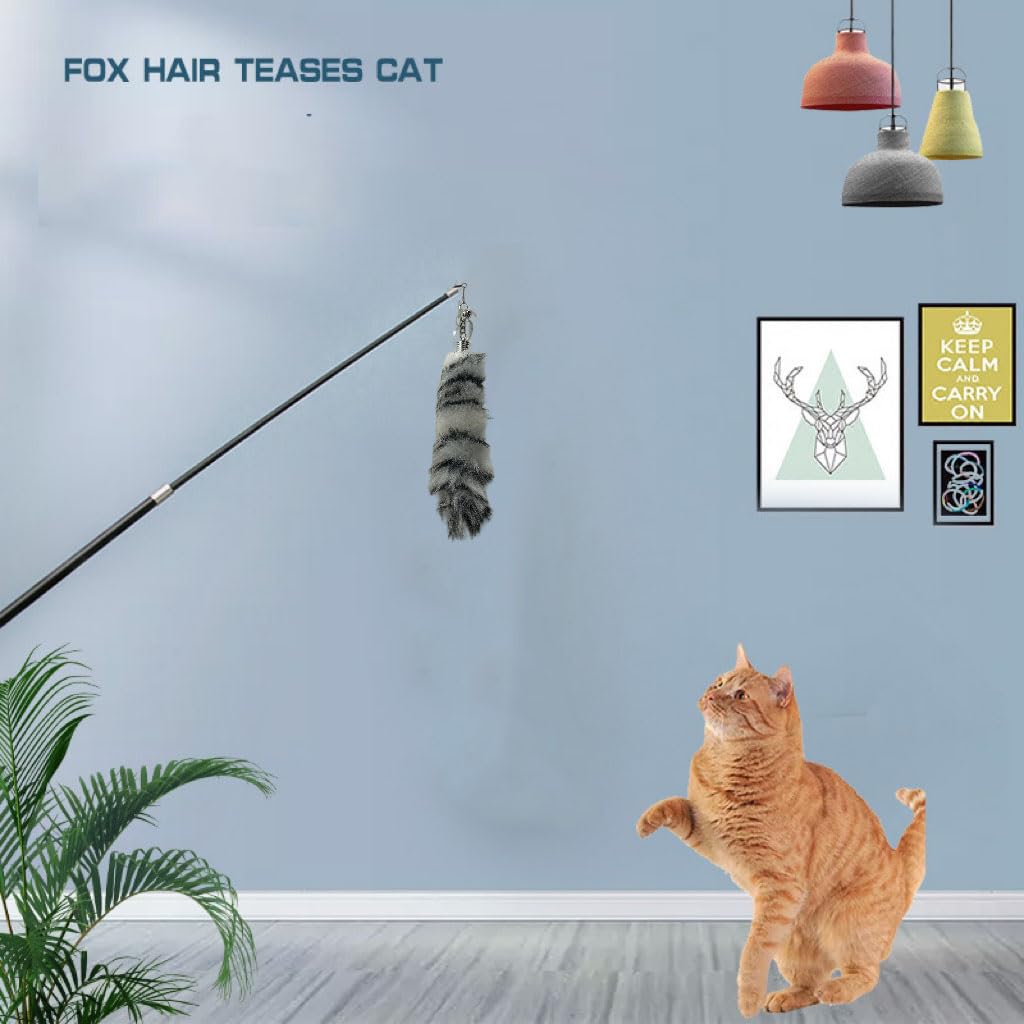 Cotdoog Cat Toys For Indoor Cats - Retractable Cat Dancer Wand With Fox Tail, Feather Teaser & Fishing Pole Toy, Luxurious Inter
