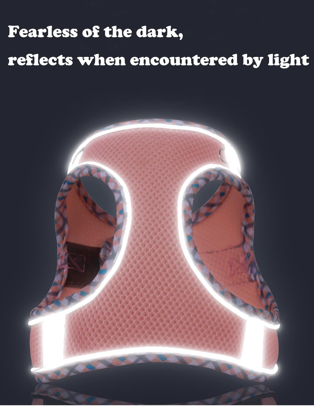 Dog Harness and Leash Set, No Pull Adjustable Reflective Pet Harness for Small Medium Dogs, Easy Walk Step in Vest Harness Outdo