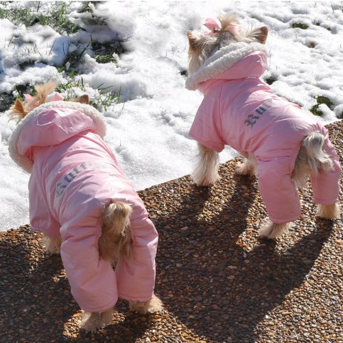 Dog Coat - 'Ruffin' It' Snowsuit - Pink - Small (S)