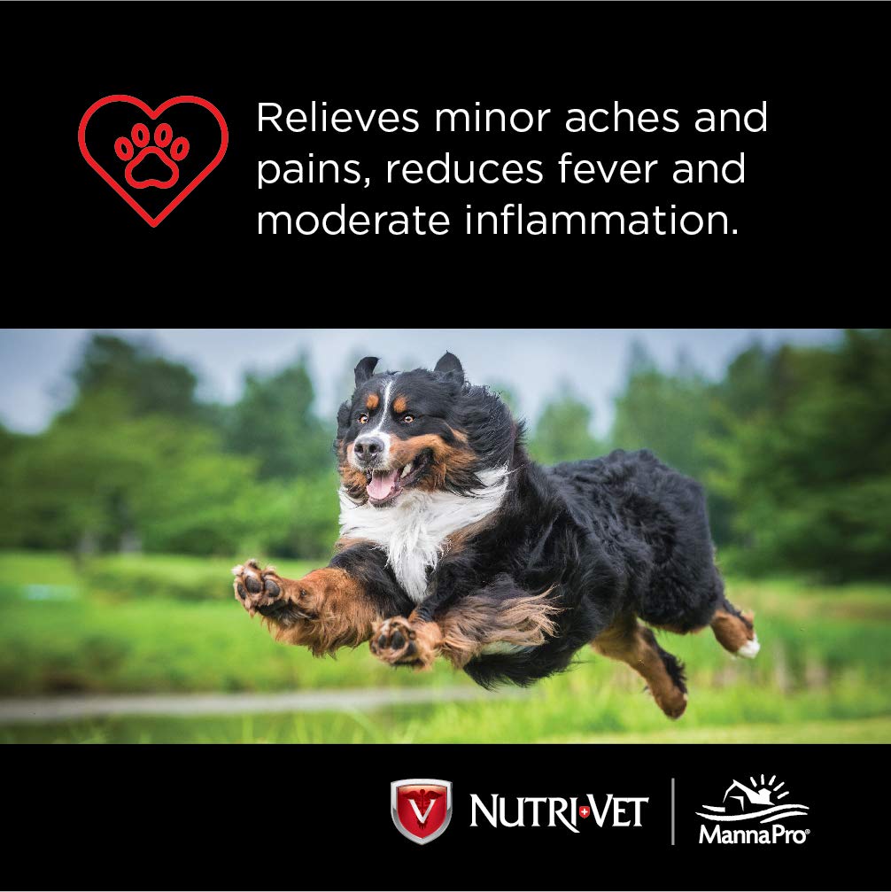 Nutri-Vet Aspirin Chewables for Large Dogs, 75 Count, Pack of 2