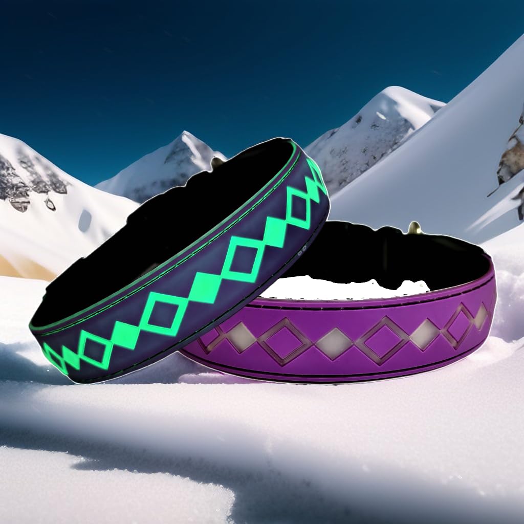 Dogled Usb-C Led Light Up Dog Collar, 3D Design Comfortable And Soft Material,Multicolored Lighting,Night Dog Collar (Lx-Purple,