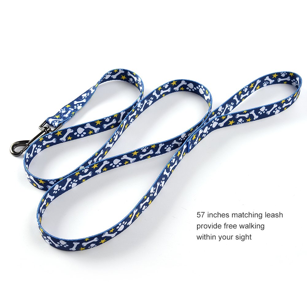 Ihoming Dog Collar And Leash Set For Daily Outdoor Walking Running Training, Bone Design For Large Boys Girls Dogs Cats Pets, L-