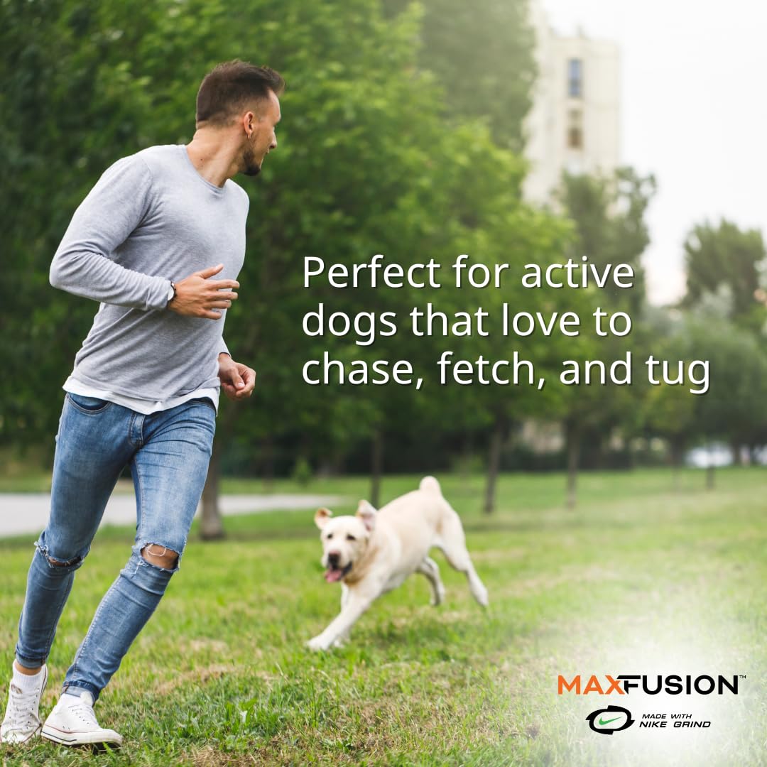 Max Fusion With Nike Grind, Arlee Spiro Football Treat Dispensing Dog Toy, Durable Dog Treat Toy, L