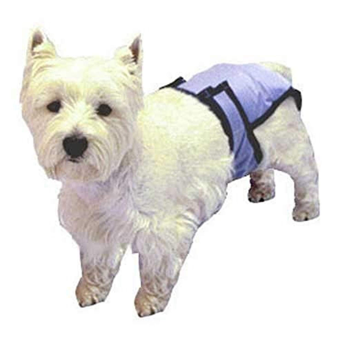 Poochpad X-Large Poochpant Diaper