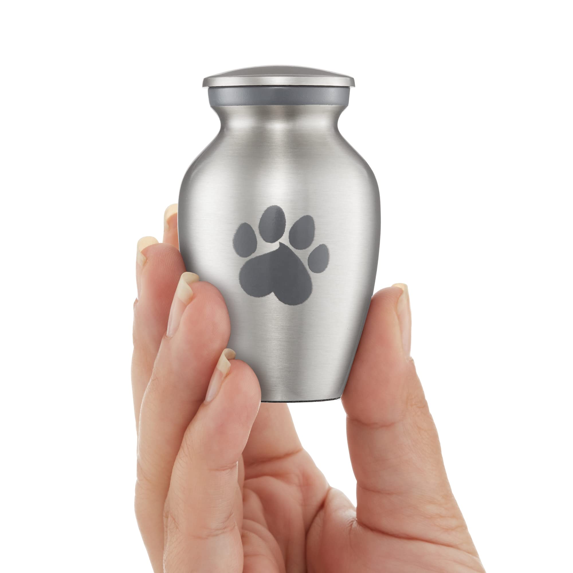 Reminded Pet Cremation Urns for Dog and Cat Ashes, Memorial Paw Print Urn - Extra Small Keepsake Silver